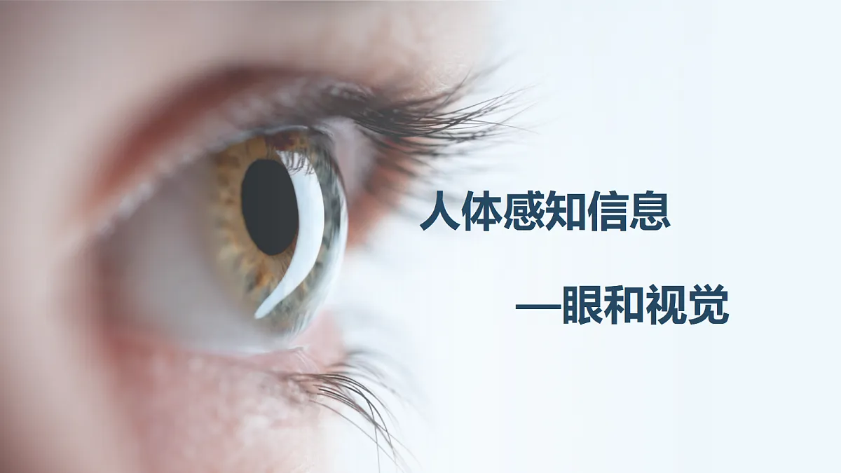 18206505第1页