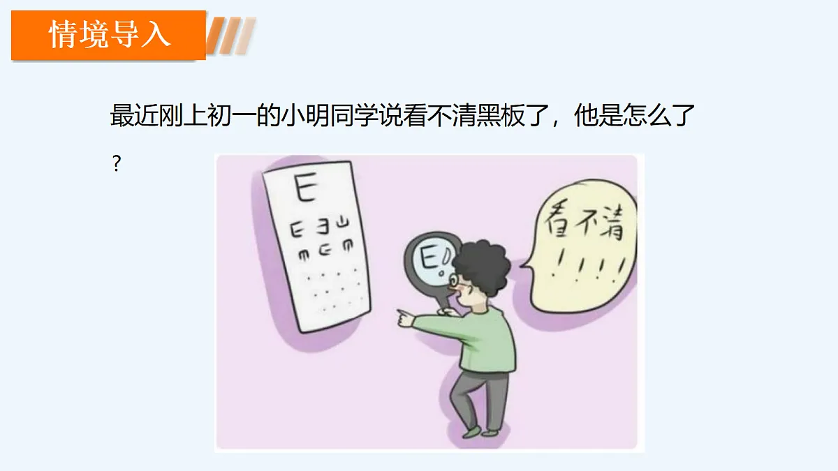 18206505第2页