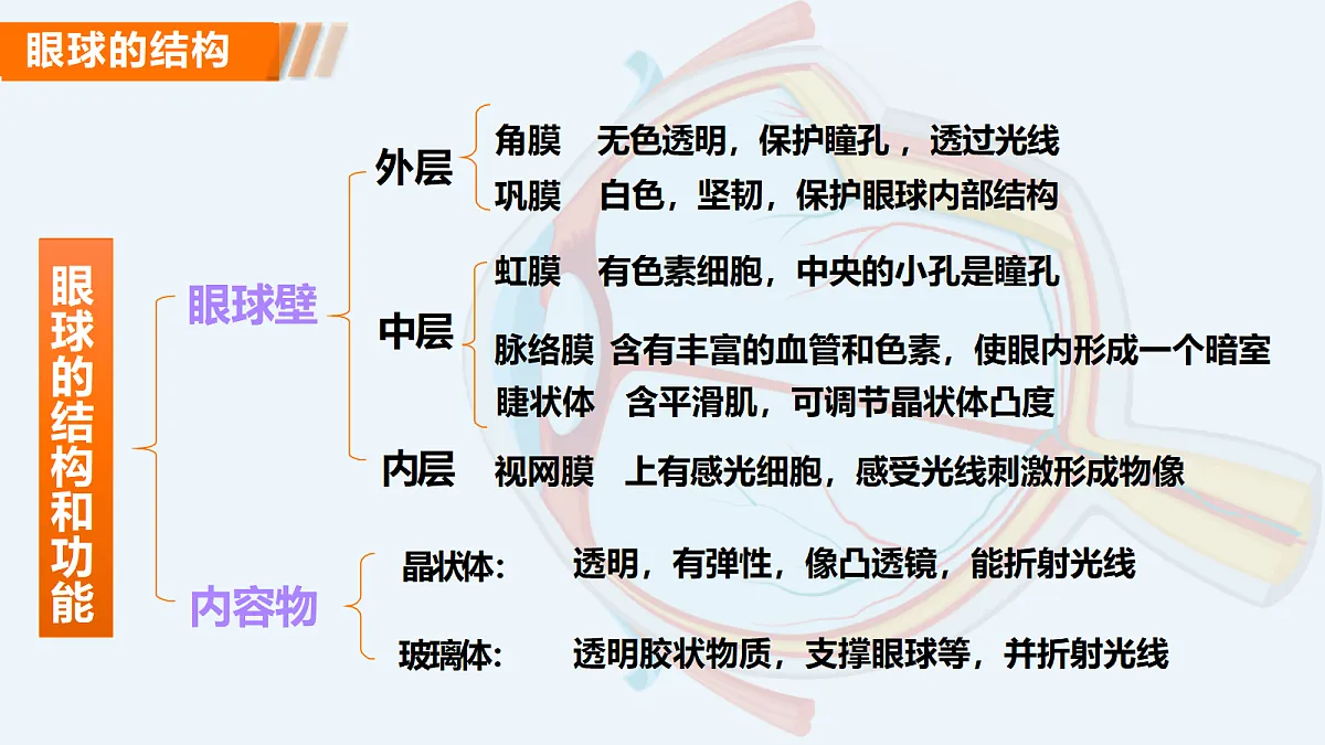18206505第7页