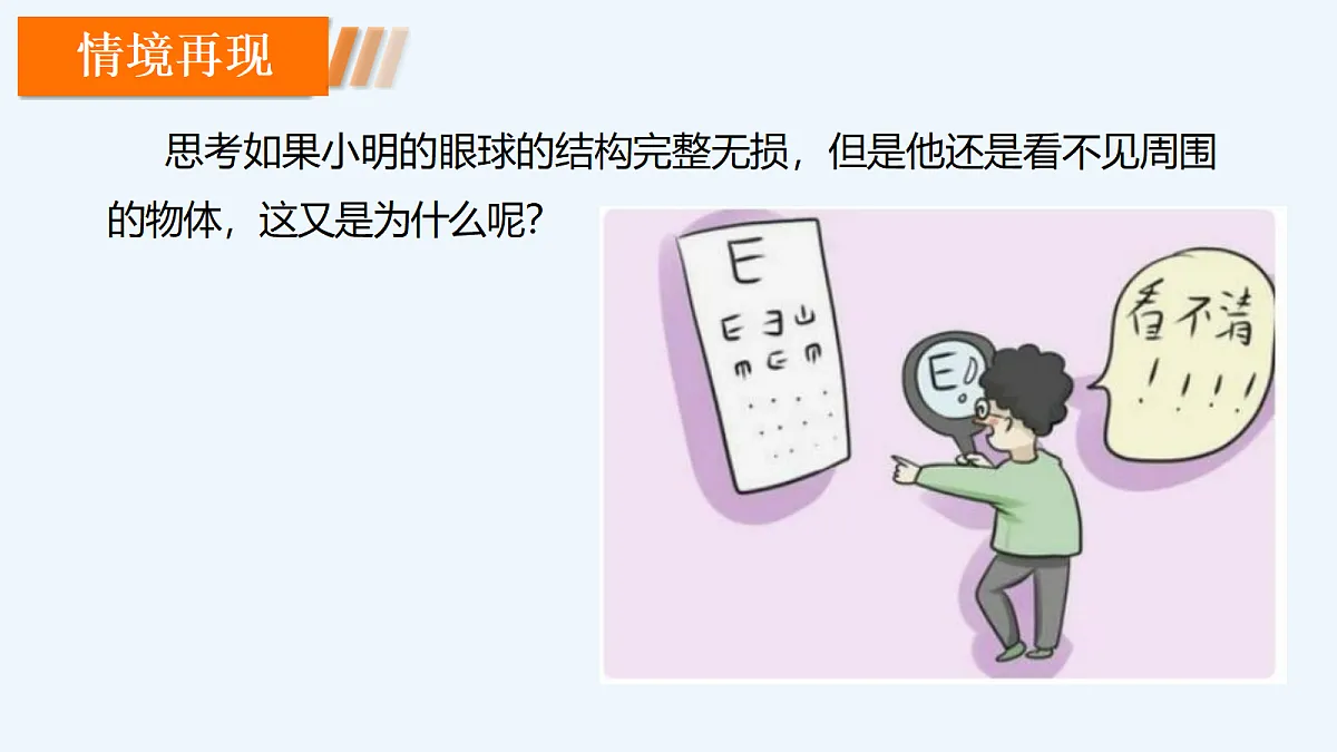 18206505第8页
