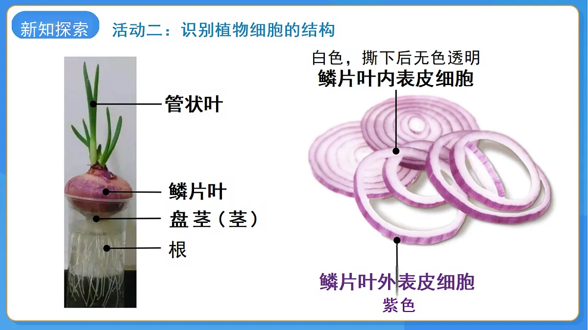18206507第4页
