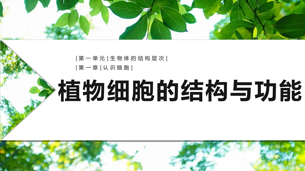 18206508第1页