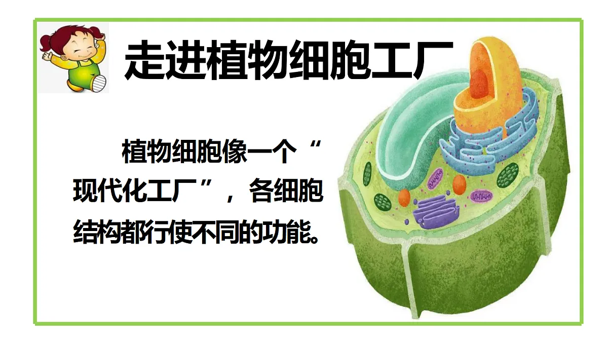 18206508第2页