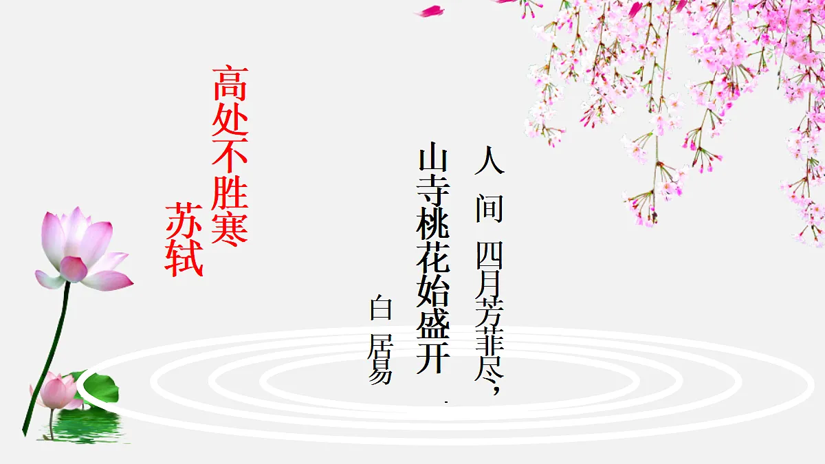 18206627第2页