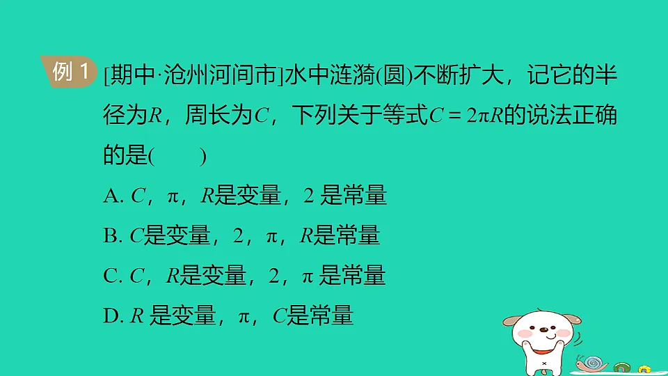 18206928第6页