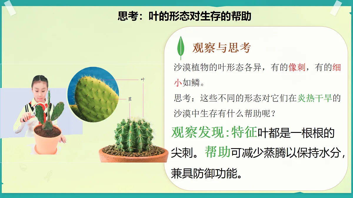 18208652第6页