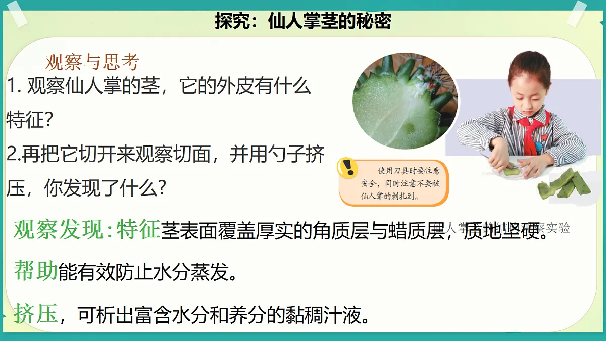 18208652第7页