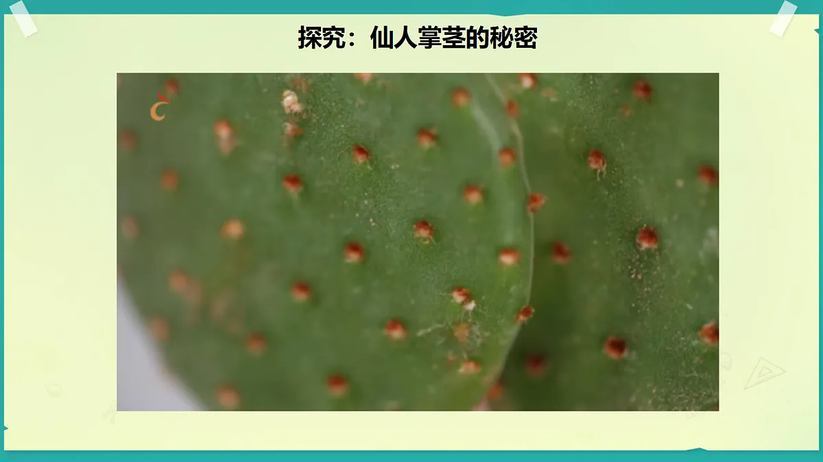 18208652第8页