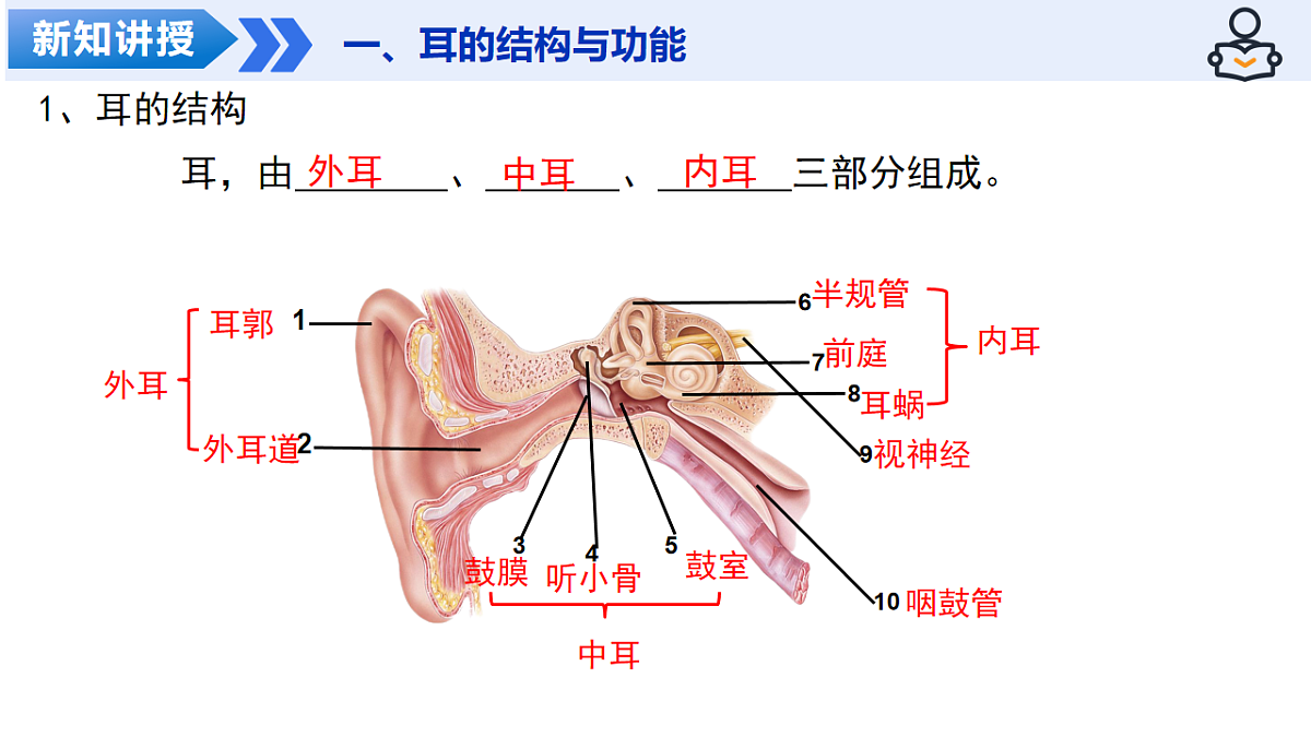 18209293第6页