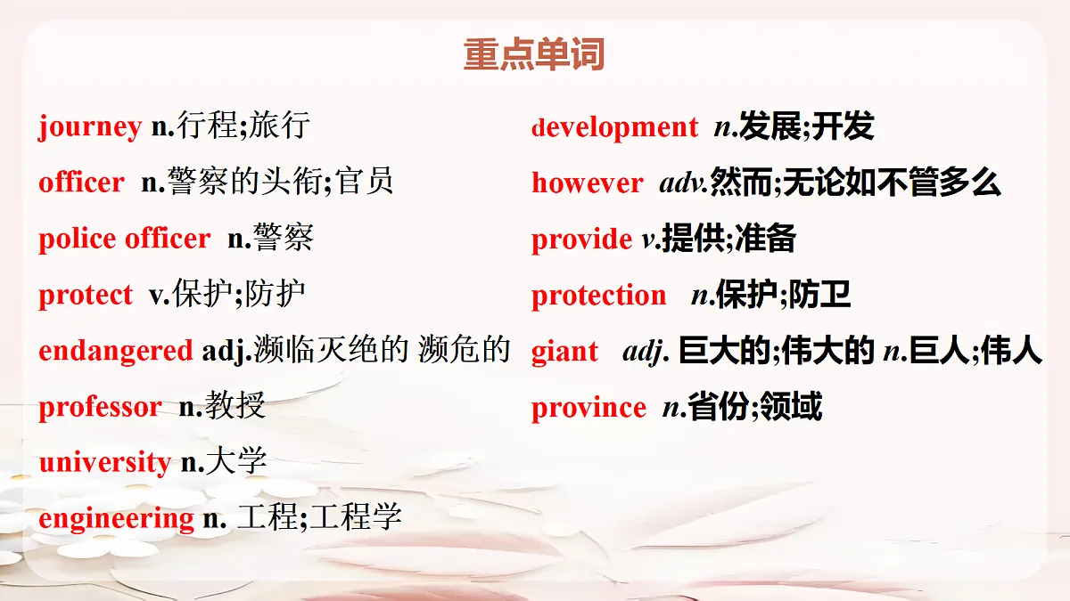 18209514第3页