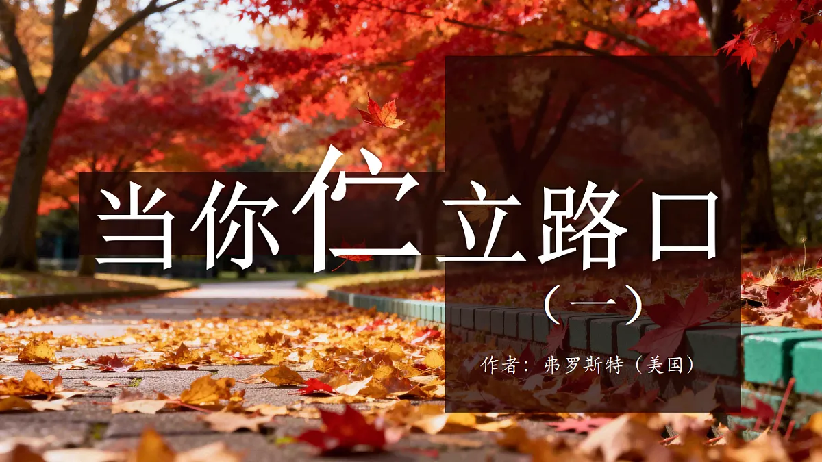18212502第1页