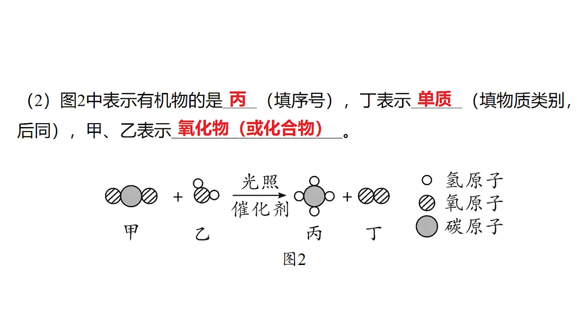 18213988第3页