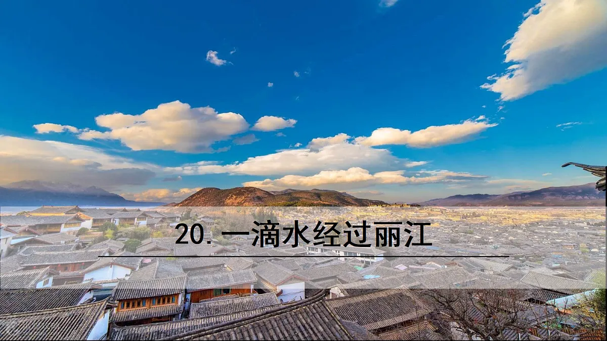 18215720第2页