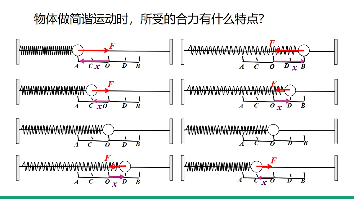 18215864第5页