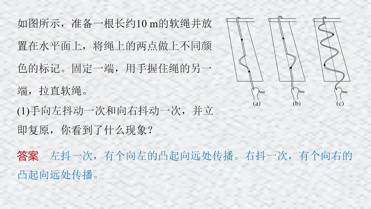 18215883第5页