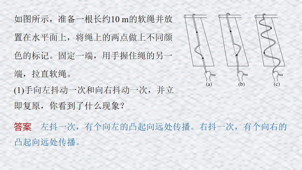 18215883第5页