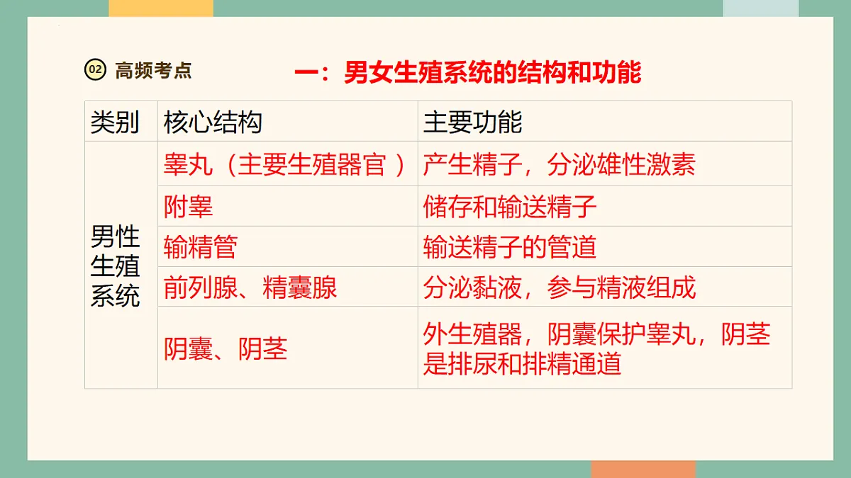 18216017第4页