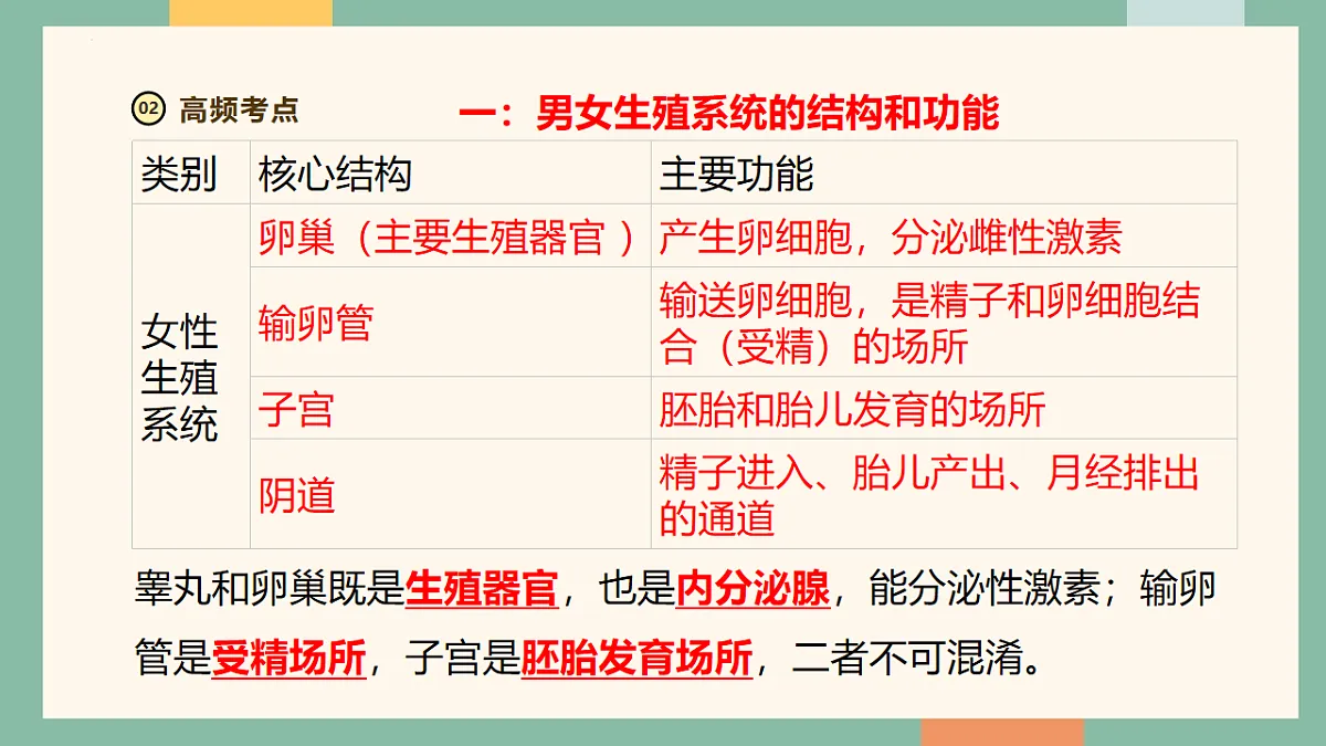 18216017第5页