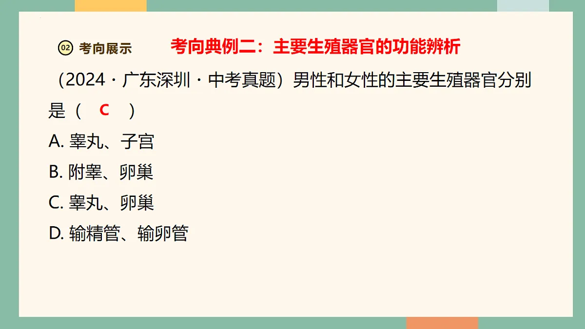 18216017第8页