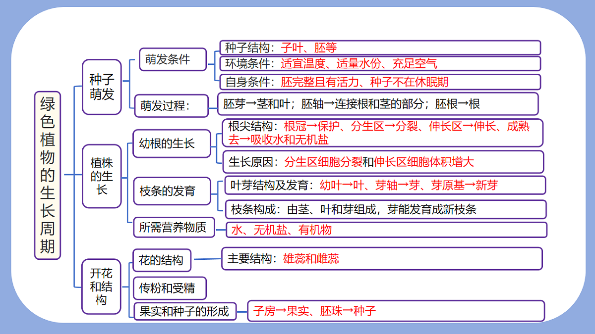 18216020第2页