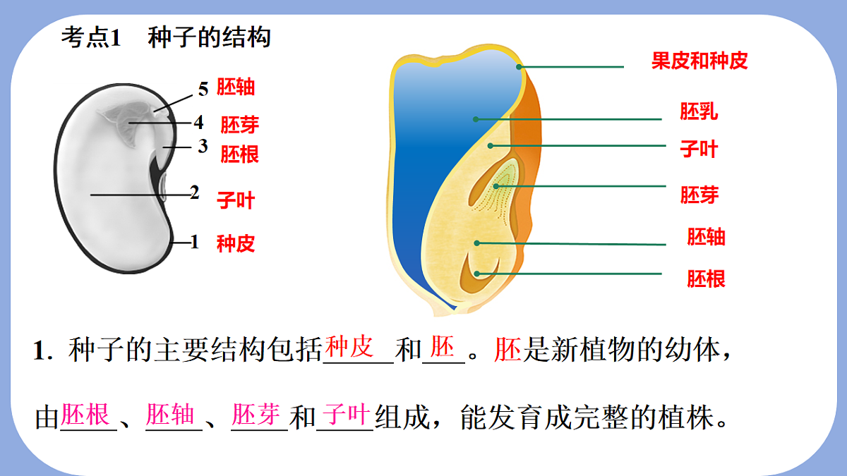 18216020第3页
