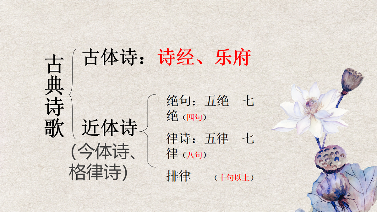 18216052第2页