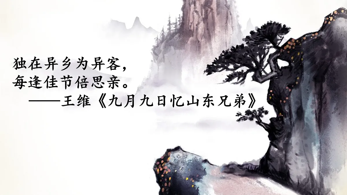 18216245第4页