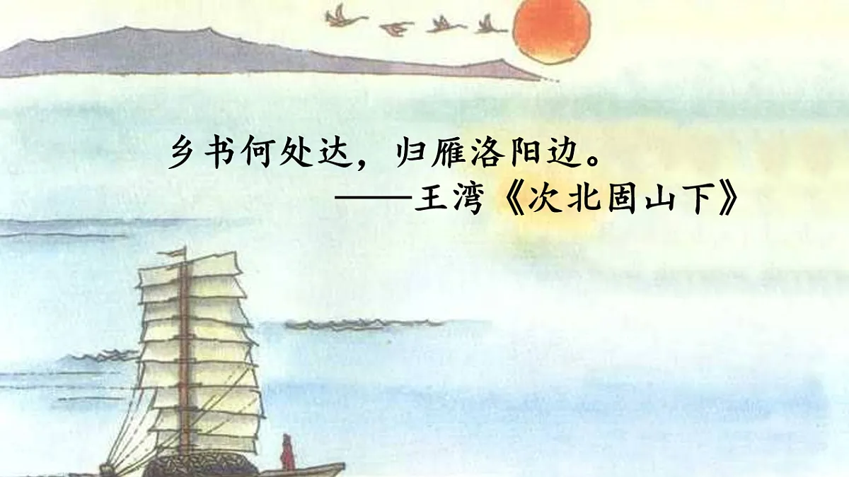 18216245第5页