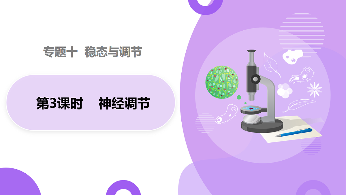 18216257第1页