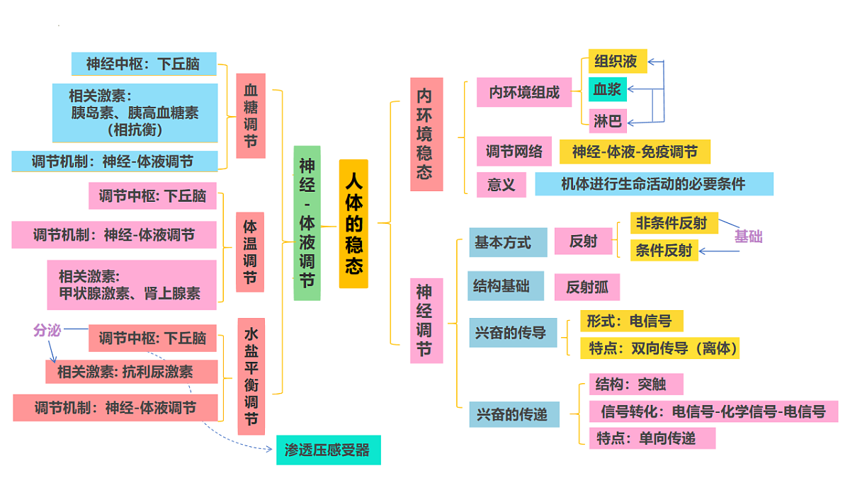 18216257第3页