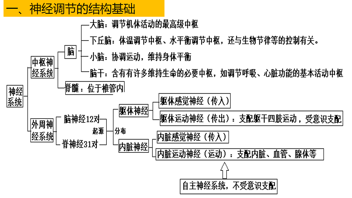 18216257第5页