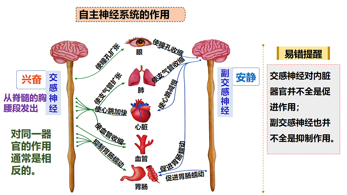 18216257第6页
