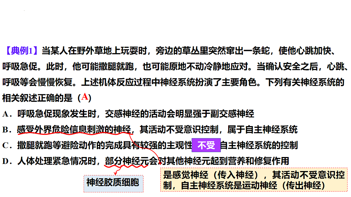 18216257第7页