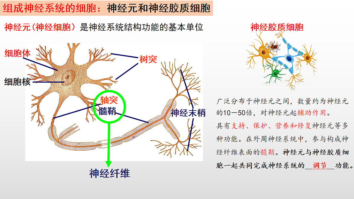 18216257第8页
