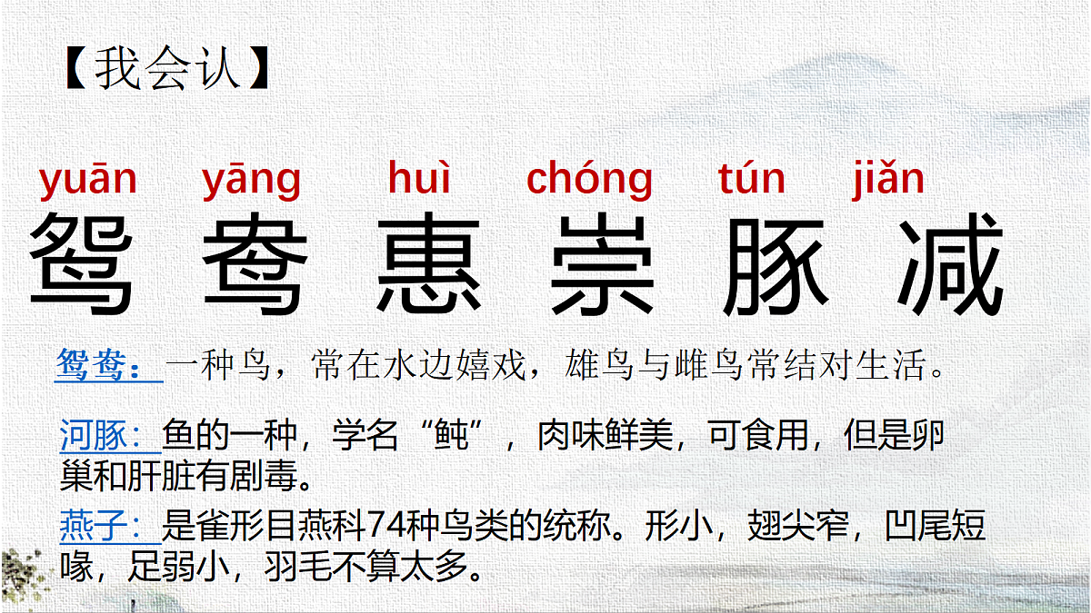 18217669第2页
