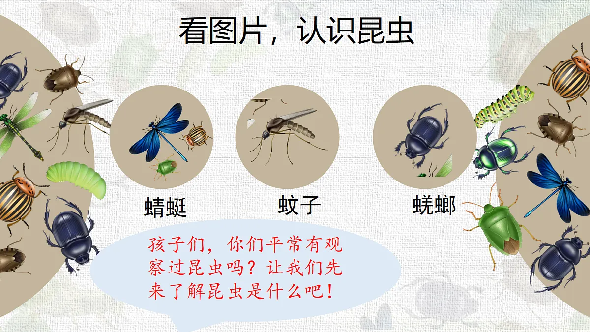 18217674第2页