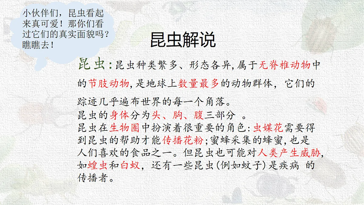 18217674第3页