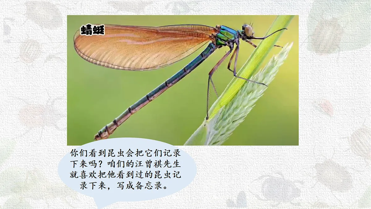 18217674第4页