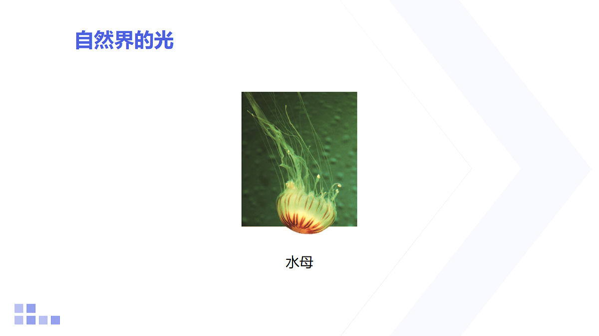 18218089第5页