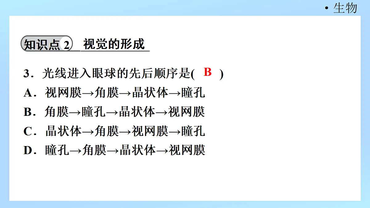 18218895第5页