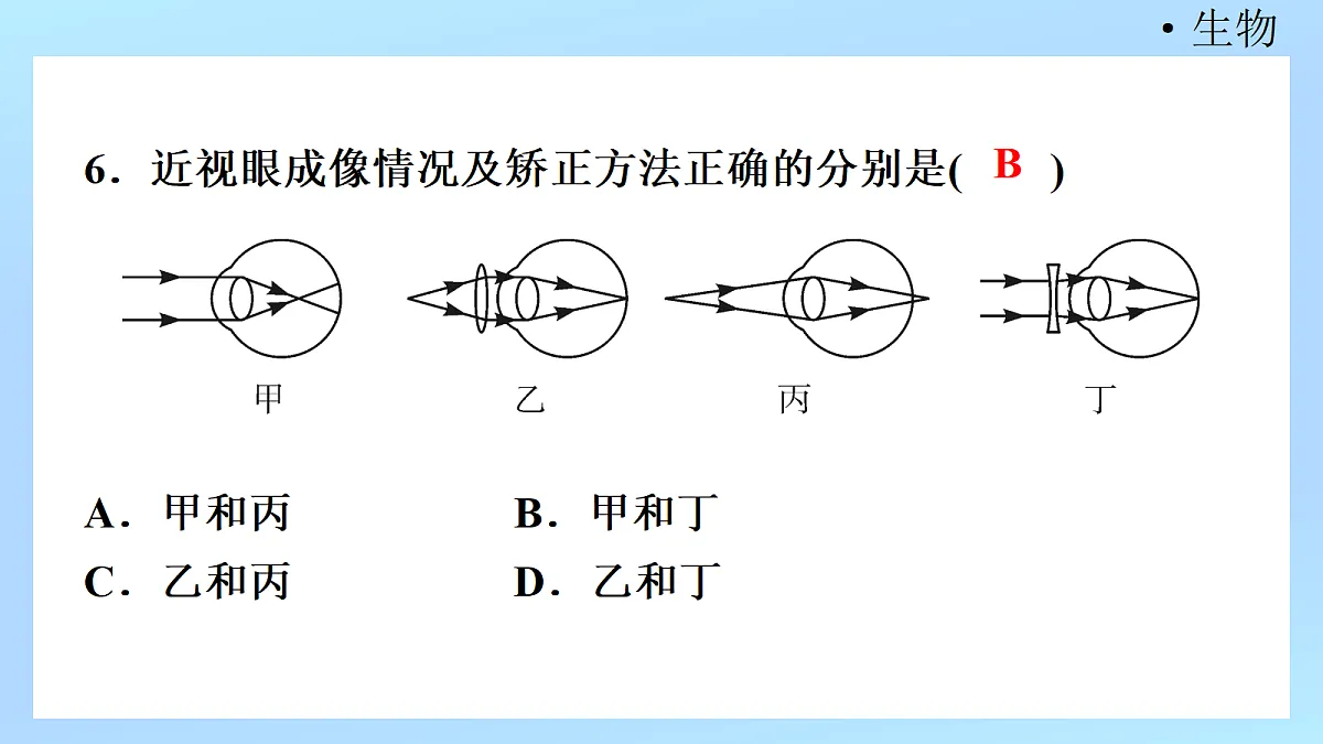 18218895第8页
