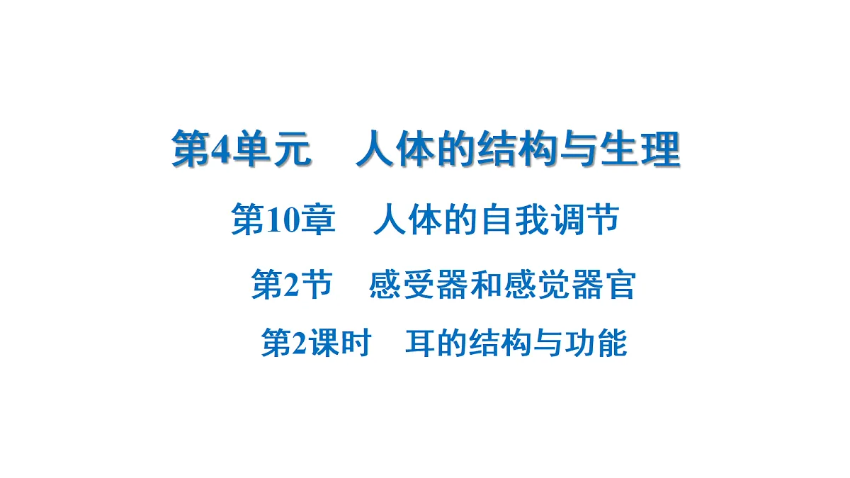 18218896第1页