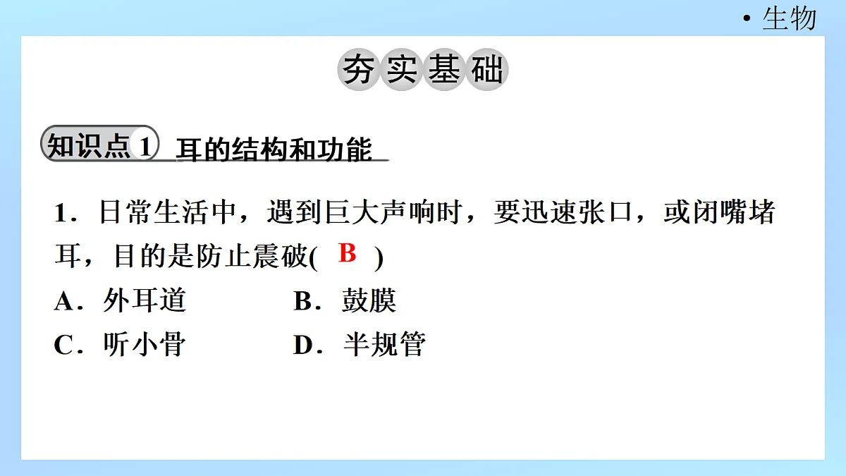 18218896第3页