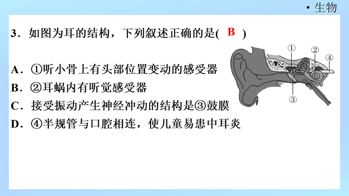 18218896第5页