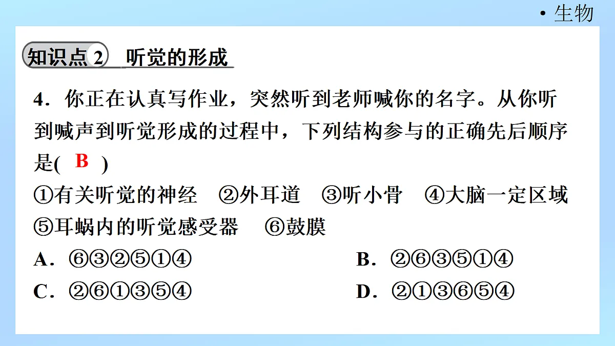 18218896第6页