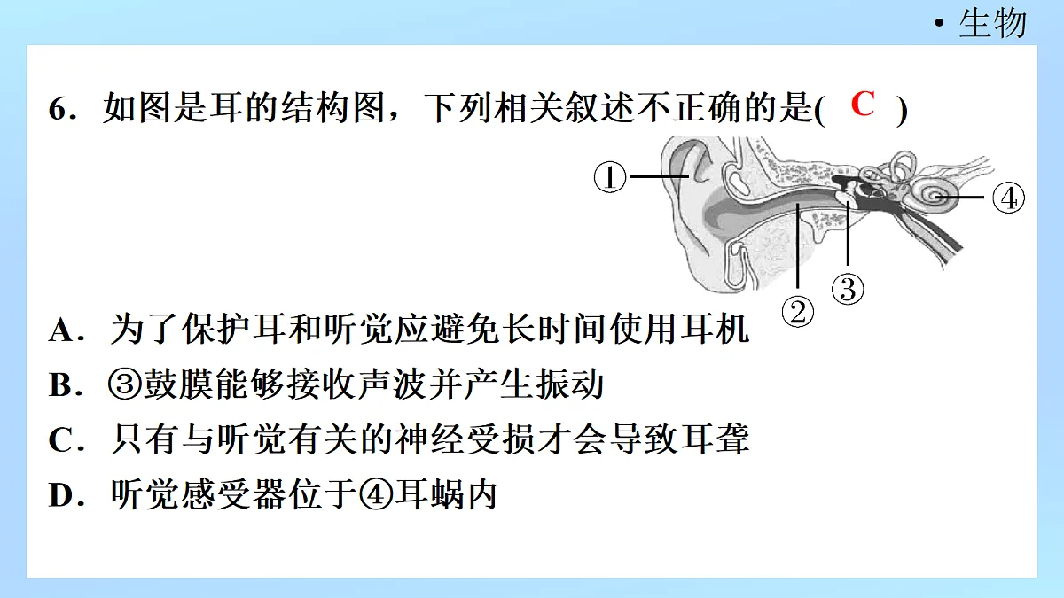 18218896第8页