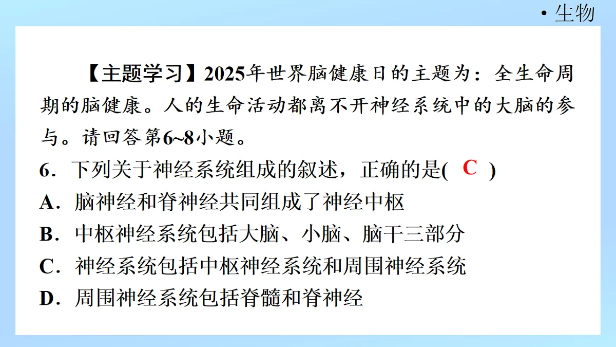 18218897第8页