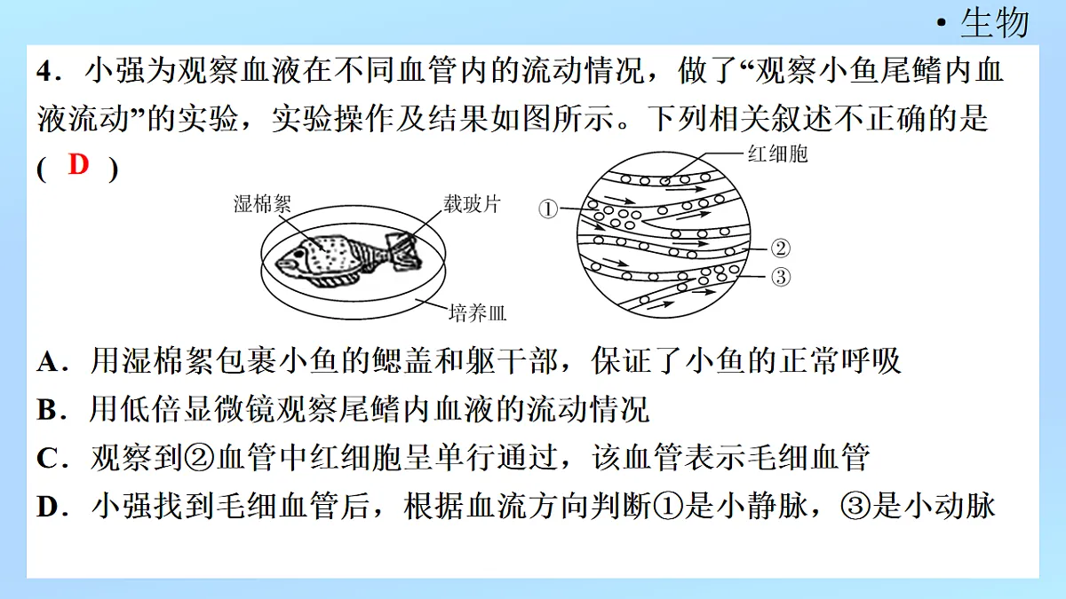 18218902第6页