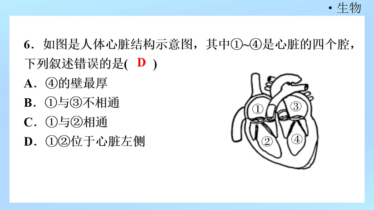 18218902第8页
