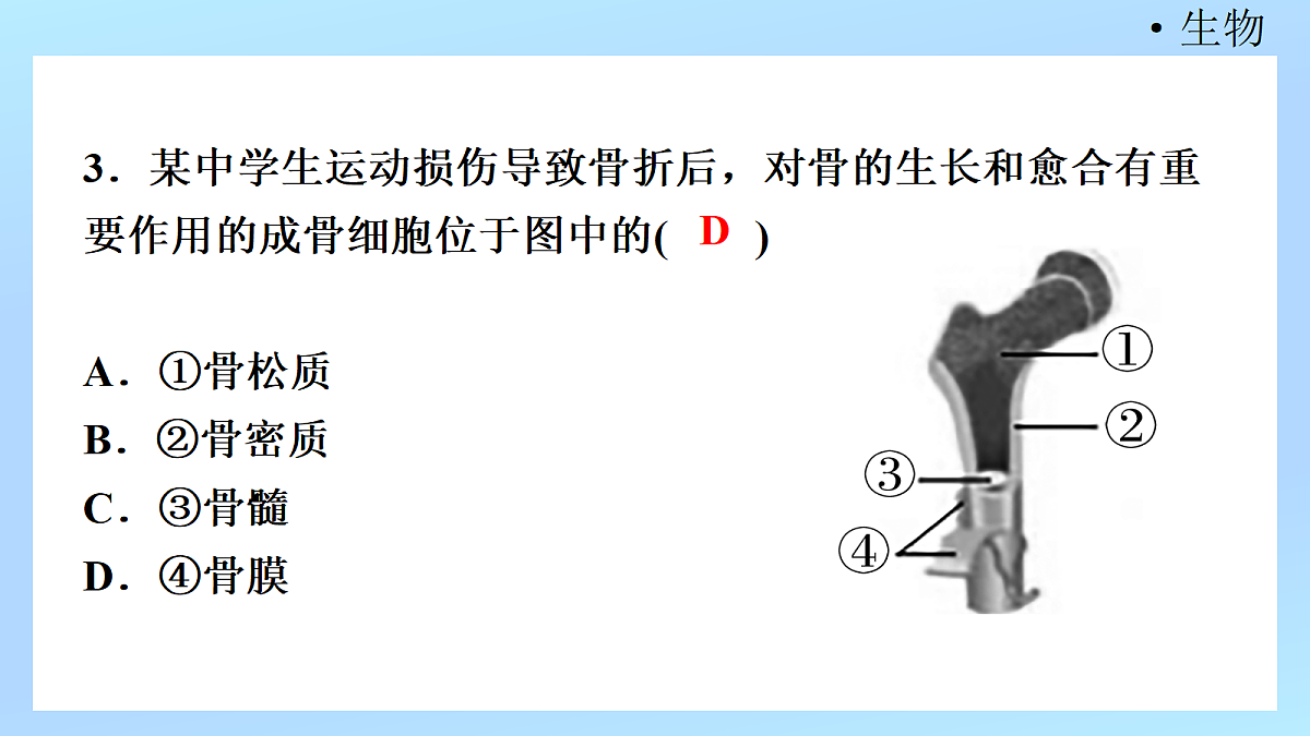 18218904第5页